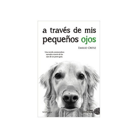 A TRAVES DE MIS PEQUEÑOS OJOS