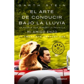 EL ARTE DE CONDUCIR BAJO LA LLUVIA