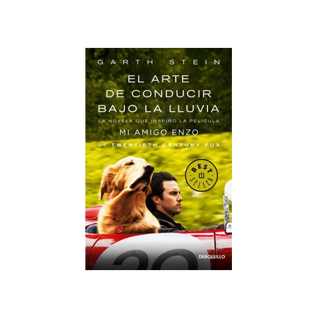 EL ARTE DE CONDUCIR BAJO LA LLUVIA