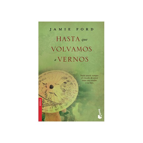 HASTA QUE VOLVAMOS A VERNOS